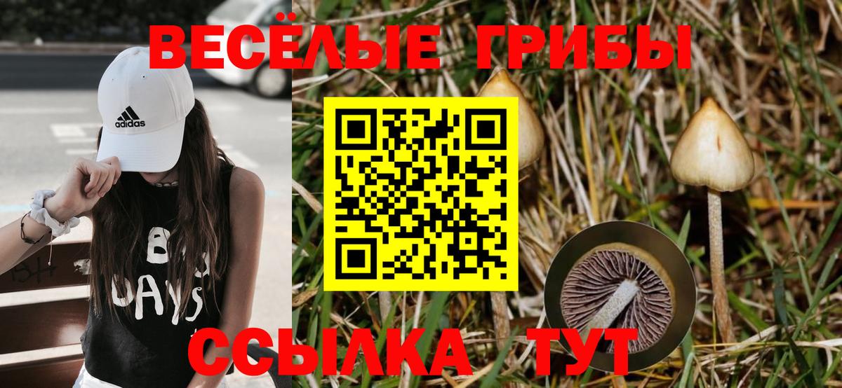 Псилоцибиновые грибы мицелий  Вход с VPN  где можно купить наркотик  Саянск 